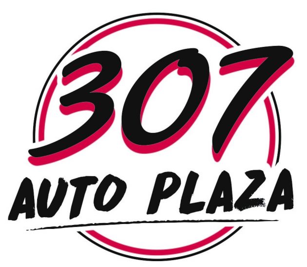 307 Auto Plaza; Treating Customers Right at Every Age SweetwaterNOW