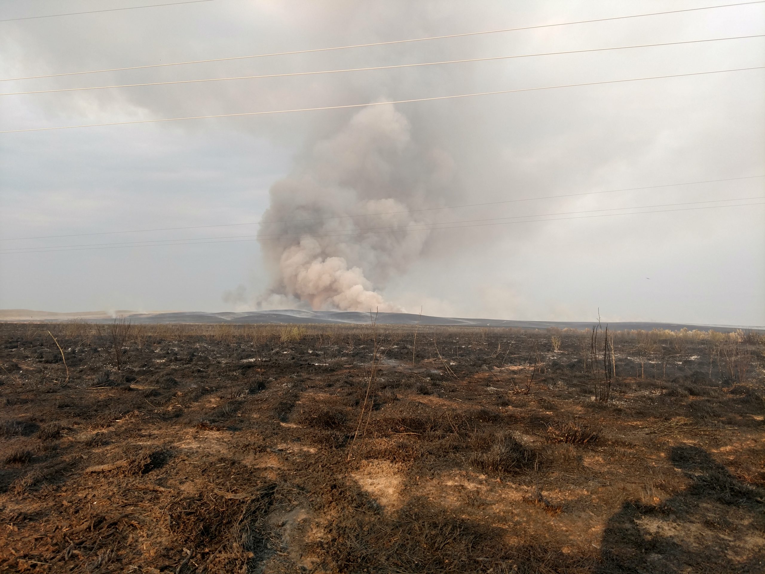 BLM Fighting North Eden Fire Near Cokeville