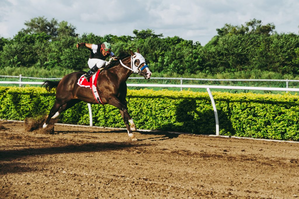 Sweetwater Events Complex to No Longer Host Live Horse Racing