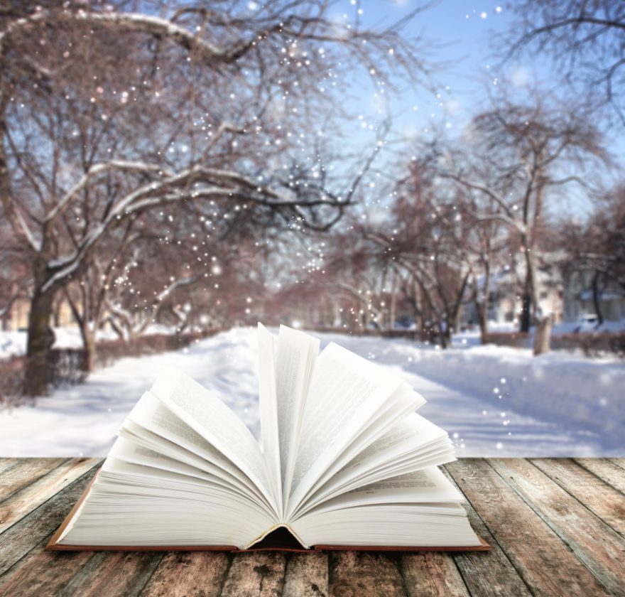 Snow is Falling, Books Are Calling SweetwaterNOW