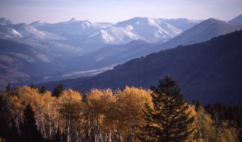 SUBMISSION: A Call to Fight Against a Federal Land Grab