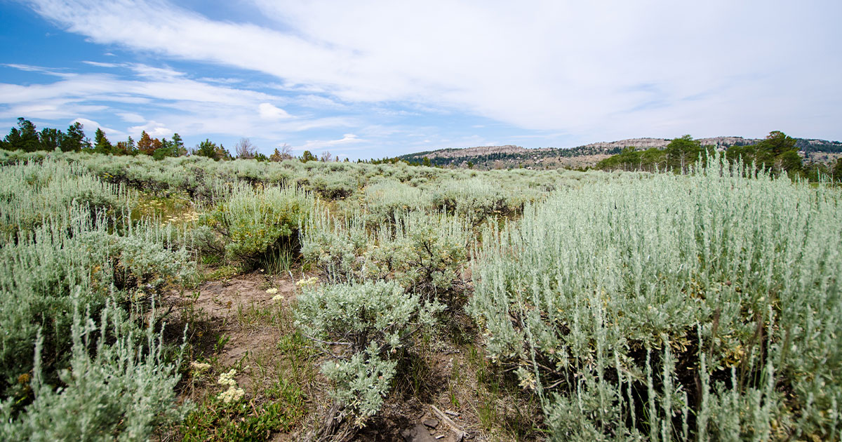 Wyoming Land Purchase Takes Another Step Forward SweetwaterNOW