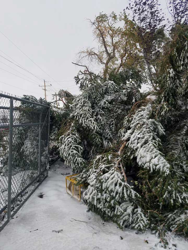 riversidenurserydamageowens2 SweetwaterNOW