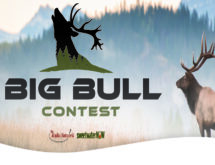 It’s Time for TRN Media’s Annual Big Bull Contest