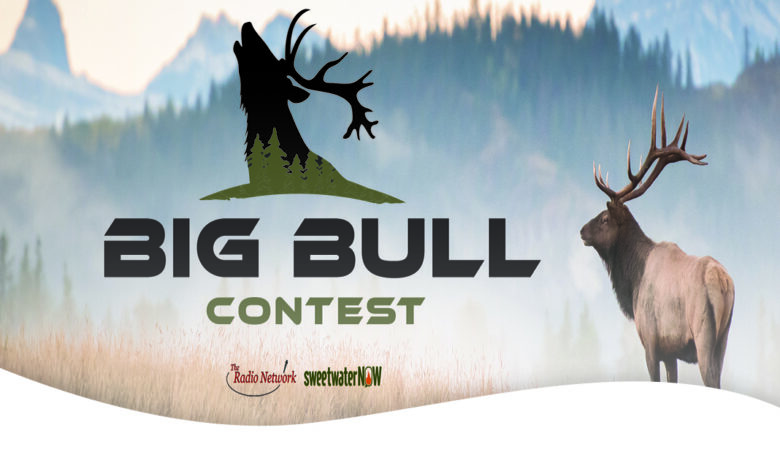 It’s Time for TRN Media’s Annual Big Bull Contest