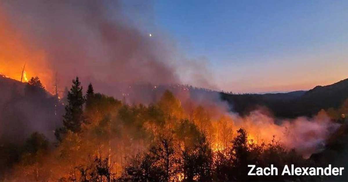 Precipitation Reduces Mullen Fire Activity; Winds Limit Aircraft