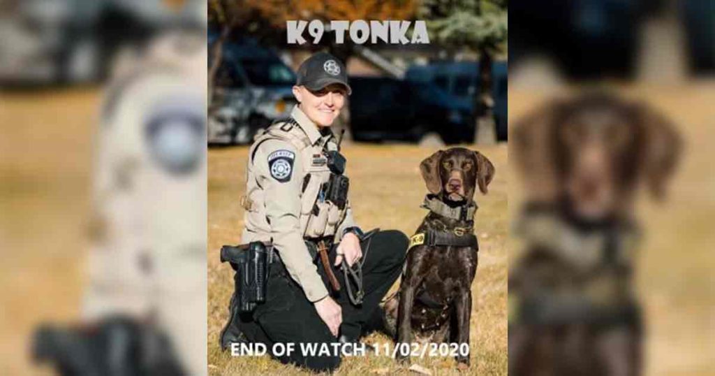 Sublette County Sheriff’s Office Mourns Loss of K9 Tonka SweetwaterNOW