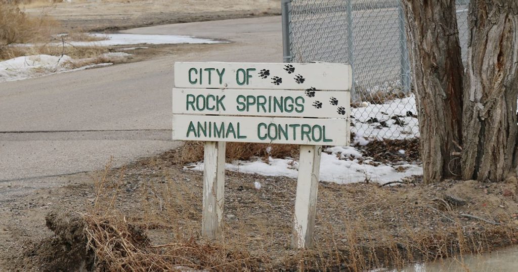 RS Animal Control Looks at Partnering With Pet Food Company