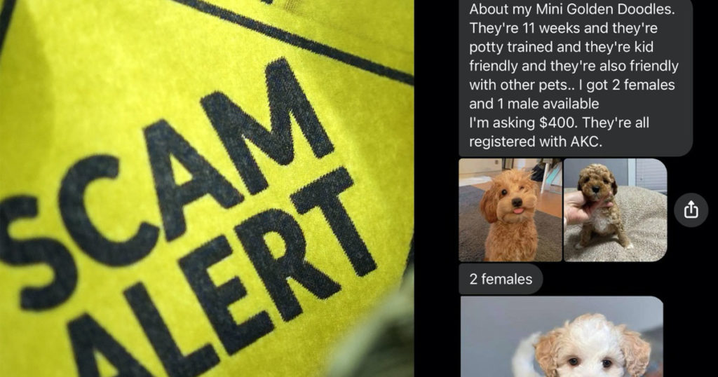 Green River Police Department Warns Community of Puppy Scam