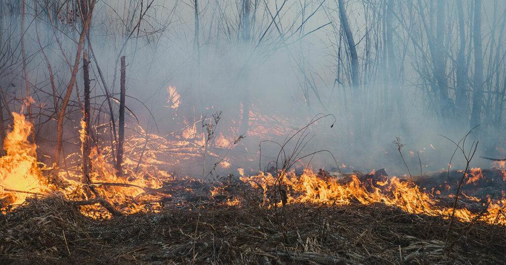 Sublette County Enacts Stage 1 Fire Restrictions