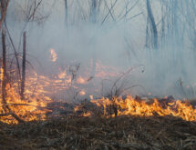 BLM Warns Recreationists of Fire Danger