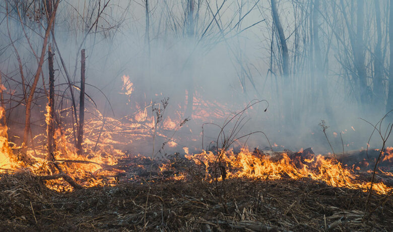BLM Warns Recreationists of Fire Danger