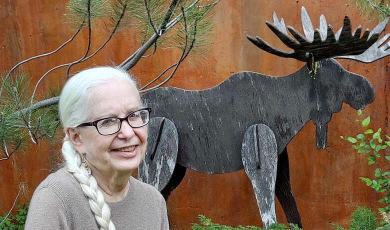 Zanetti Seeks Election to Senate District 12