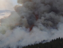 Gordon Urges Fire Safety After Flurry of Wildfire Starts