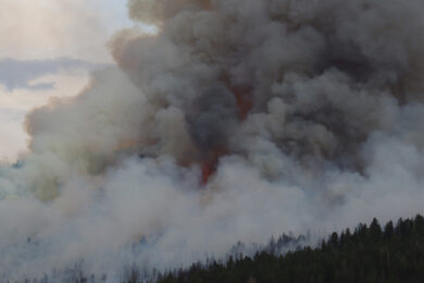 Gordon Urges Fire Safety After Flurry of Wildfire Starts
