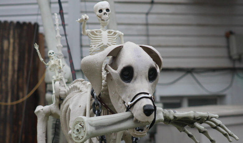 Rock Springs Houses on the Haunted Hills