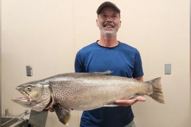 Record Tiger Trout Landed Near Kemmerer
