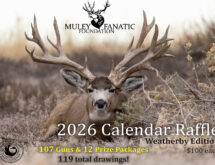 Purchase a 2026 Annual Calendar Raffle