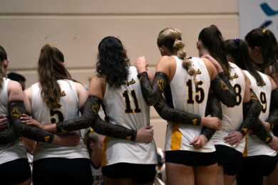 Cowgirls Open Mountain West Play at Home Against Rival CSU