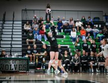 Four Lady Wolves, One Lady Tiger Earn All-Conference Volleyball Honors