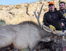 Community Submission: Protecting the Greater Little Mountain Area