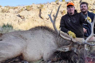 Community Submission: Protecting the Greater Little Mountain Area