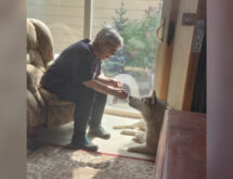 Anna “Jeanne” Beery (November 29, 1950 – December 6, 2025)